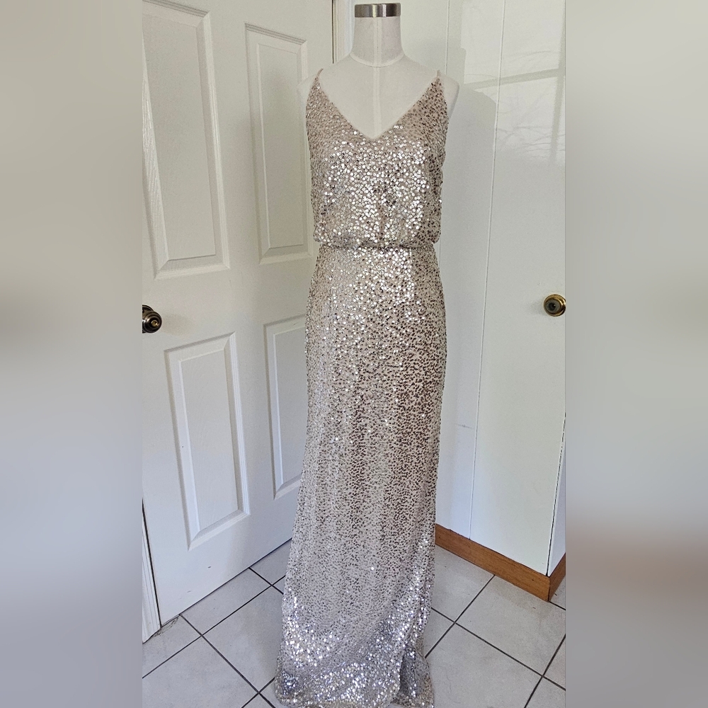 Adrianna Papell Bridesmaid Sequin Maxi Dress Sleevless Size 4